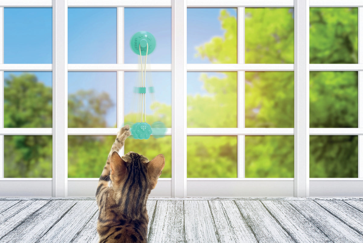 M-PETS Tampo Cat Toy - Paw