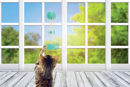 M-PETS Tampo Cat Toy - Paw