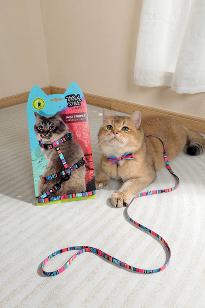 M-PETS Urban Style Jazz Stripes Cat Harness & Leash Set