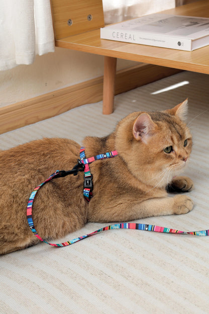 M-PETS Urban Style Jazz Stripes Cat Harness & Leash Set