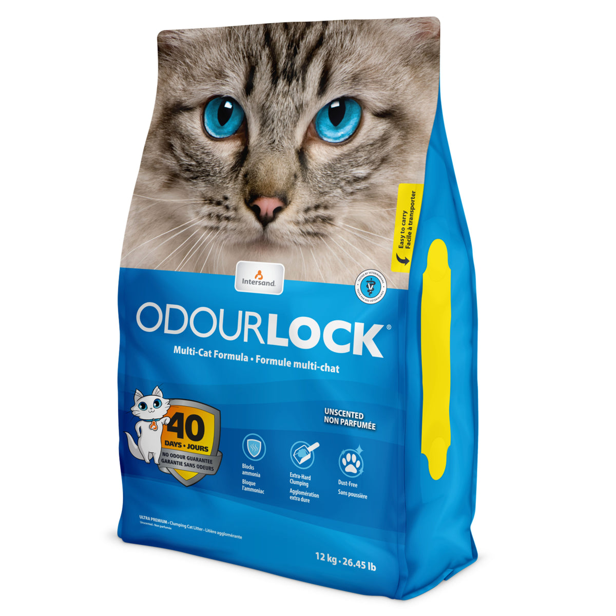 Intersand Odourlock Unscented Cat Litter - 12 Kgs