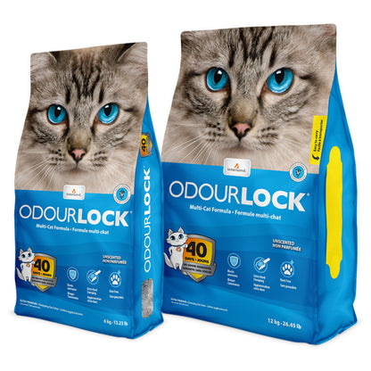 Intersand Odourlock Unscented Cat Litter - 12 Kgs