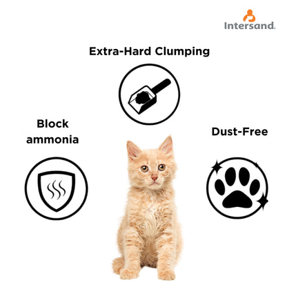 Intersand Odourlock Unscented Cat Litter - 12 Kgs