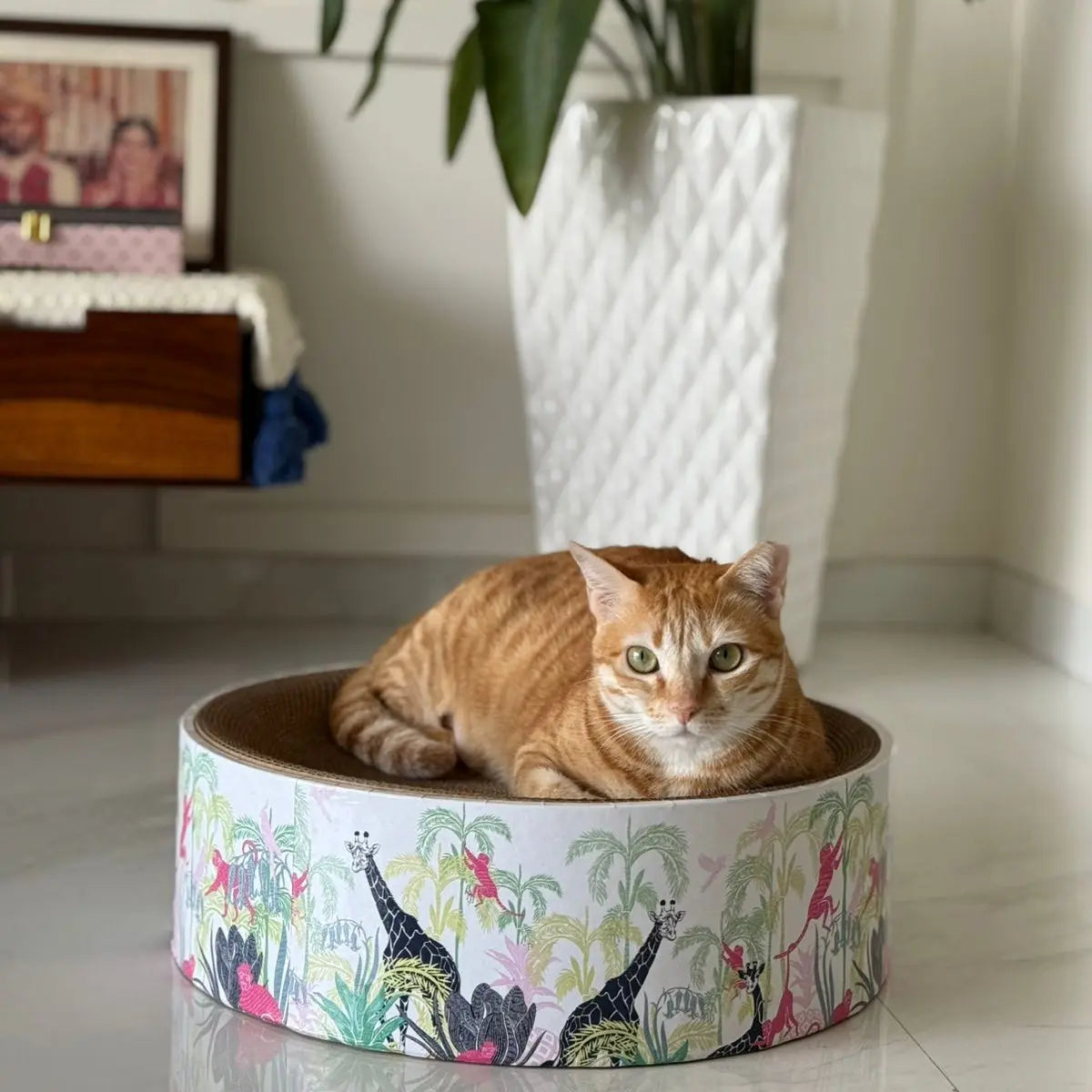 CoziKat The Luna Lounger - Lost in the Jungle