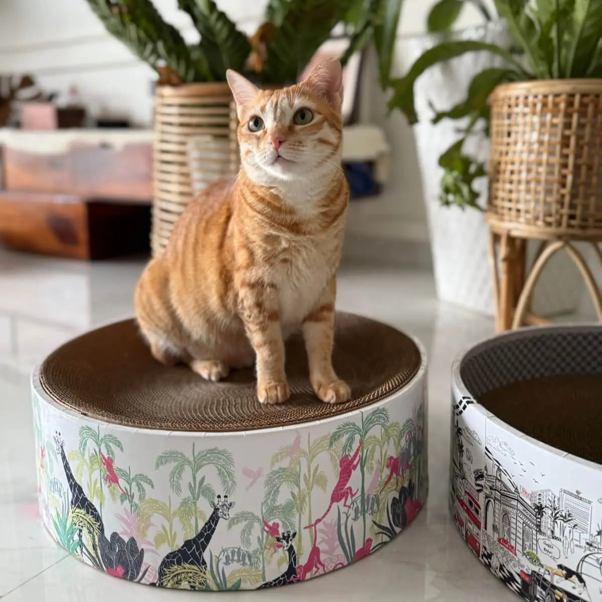 CoziKat The Luna Lounger - Lost in the Jungle