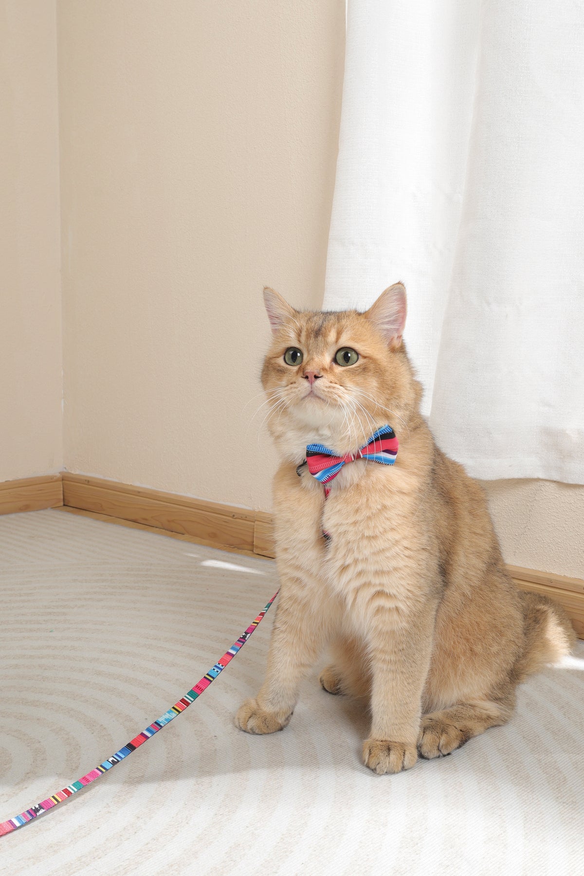 M-PETS Urban Style Jazz Stripes Bow Tie - XS/S