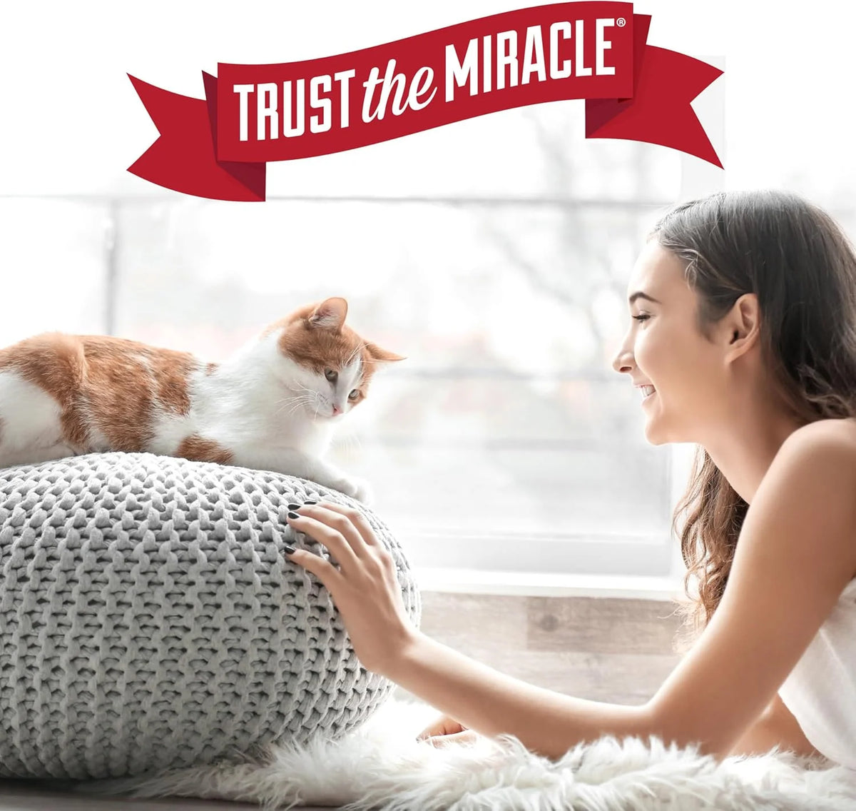 Nature's Miracle Stain & Odor Remover