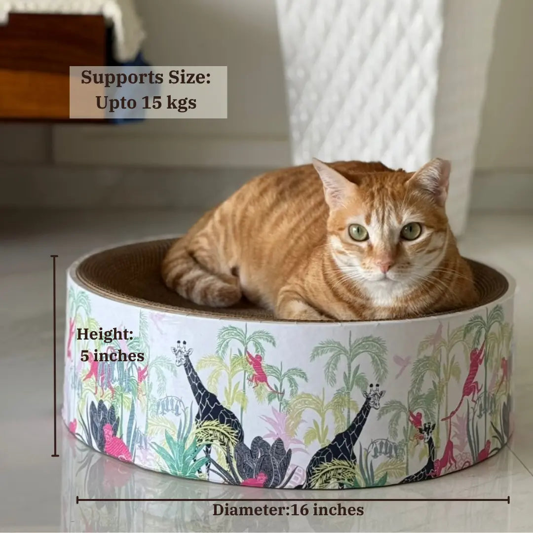 CoziKat The Luna Lounger - Lost in the Jungle