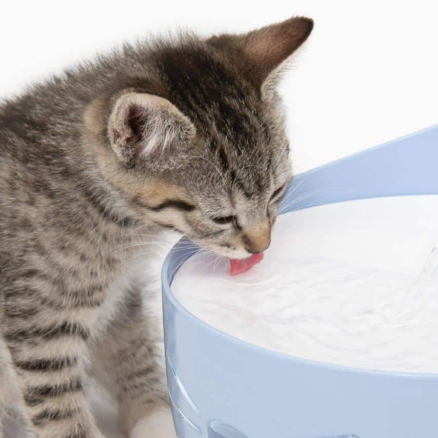 Catit Pixi Water Fountain - Light Blue