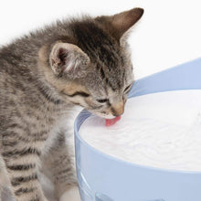 Catit Pixi Water Fountain - Light Blue