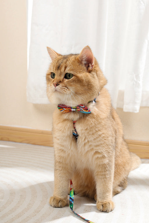 M-PETS Urban Style Freestyle Bow Tie - XS/S