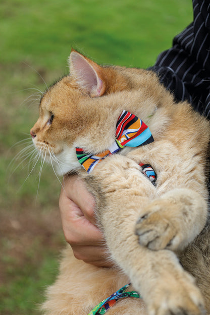 M-PETS Urban Style Freestyle Bow Tie - XS/S